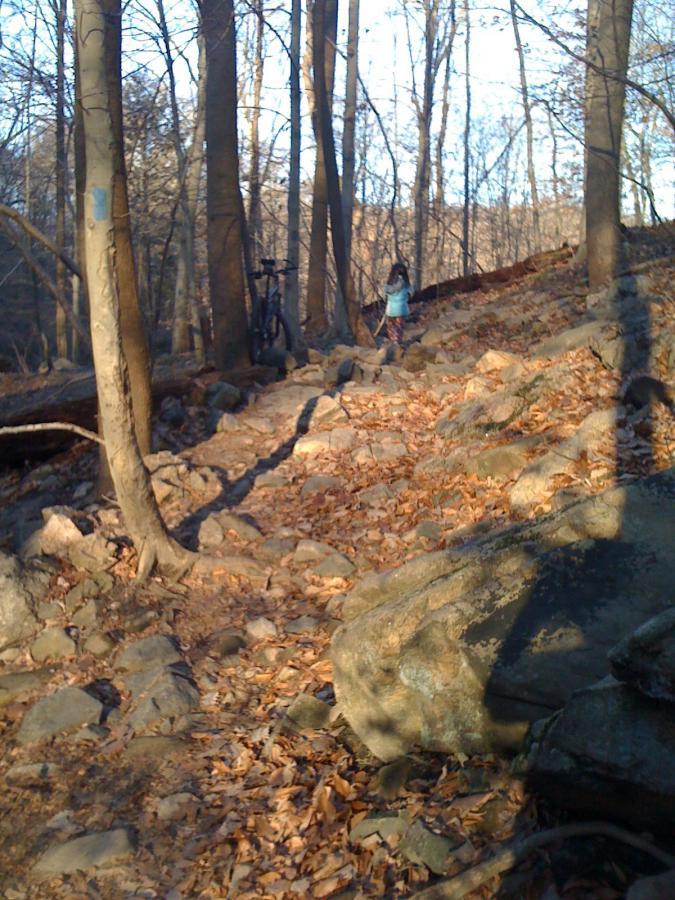 A child walking along a rocky trail surrounded by bare trees in a forest during autumn. A bicycle is leaning against a tree on the left side of the path, which is covered in fallen leaves. Patapsco Valley State Park (Avalon Area) mountain bike trail.