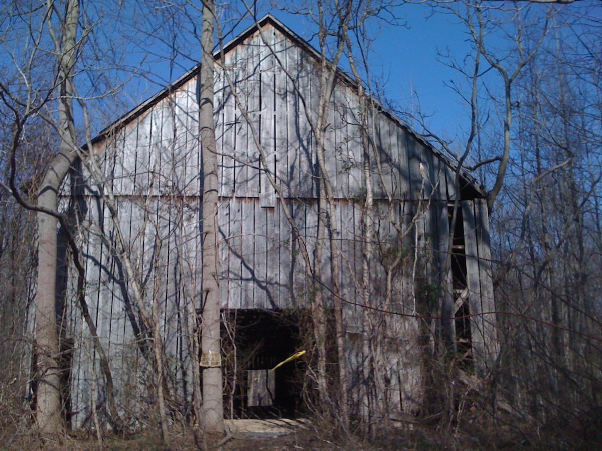 An old, weathered barn surrounded by trees, partially obscured by underbrush, against a clear blue sky. The barn features a peaked roof and wooden siding, with visible signs of decay and neglect. Rosaryville State Park mountain bike trail.