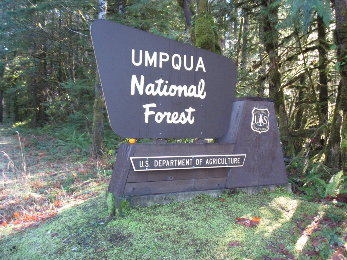 Sign for Umpqua National Forest, featuring the U.S. Department of Agriculture logo, surrounded by lush greenery and moss-covered ground. Brice Creek mountain bike trail.