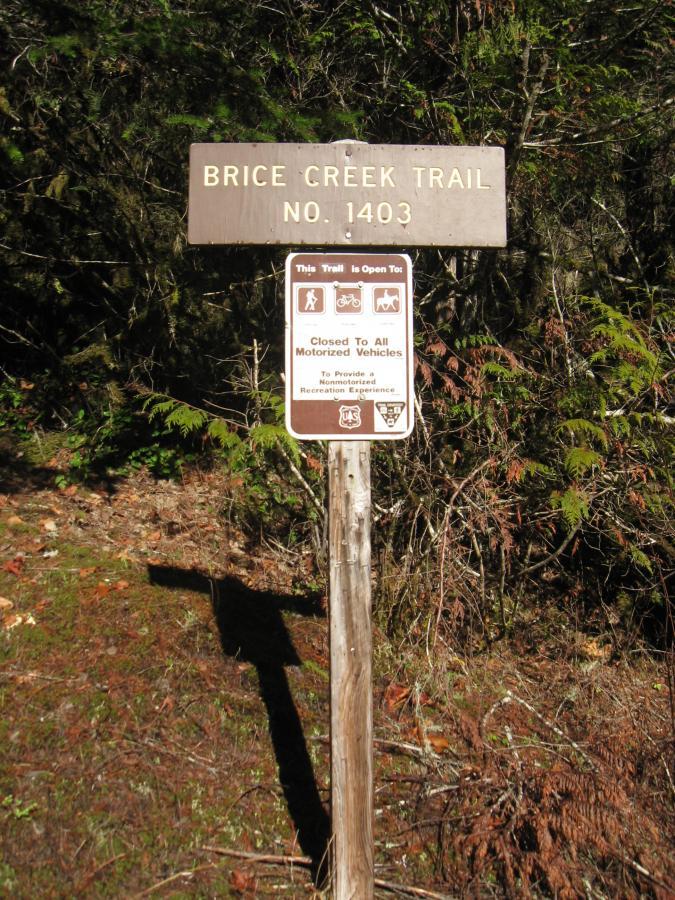 Sign marking the Brice Creek Trail No. 1403, featuring information about allowed activities such as hiking and biking, with a note stating the trail is closed to all motorized vehicles. Surrounding vegetation includes trees and ferns, indicating a forested environment. Brice Creek mountain bike trail.