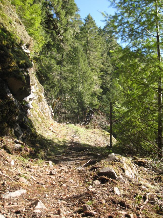 A narrow dirt trail winding through a dense forest, surrounded by tall trees and rocky outcrops. Sunlight filters through the foliage, casting dappled shadows on the ground. A rusted fence is visible beside the path, indicating the boundaries of the area. Brice Creek mountain bike trail.