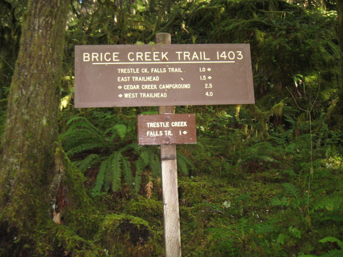 A wooden trail sign displaying directions and distances for Brice Creek Trail 1403, indicating various destinations: Trestle Creek Falls Trail (1.0 miles), East Trailhead (1.5 miles), Cedar Creek Campground (2.5 miles), and West Trailhead (4.0 miles). The surrounding area features lush green ferns and trees typical of a forested environment. Tressle Creek Falls mountain bike trail.