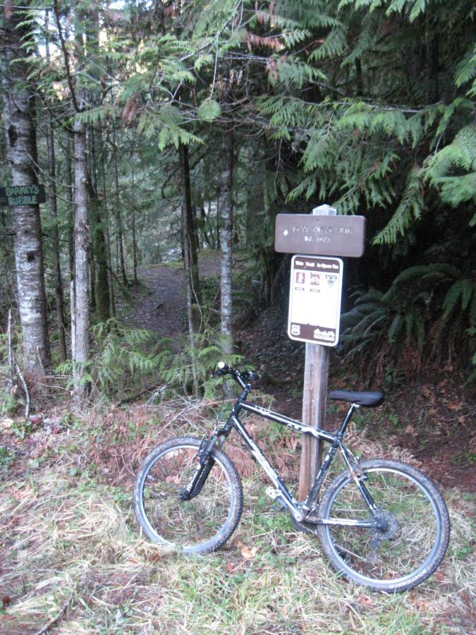 A mountain bike resting on the ground next to a trail sign in a forest. The sign indicates the entrance to the "Eagle Creek Trail" and includes various symbols related to trail use. Lush greenery surrounds the area, with tall trees and underbrush in the background. Brice Creek mountain bike trail.