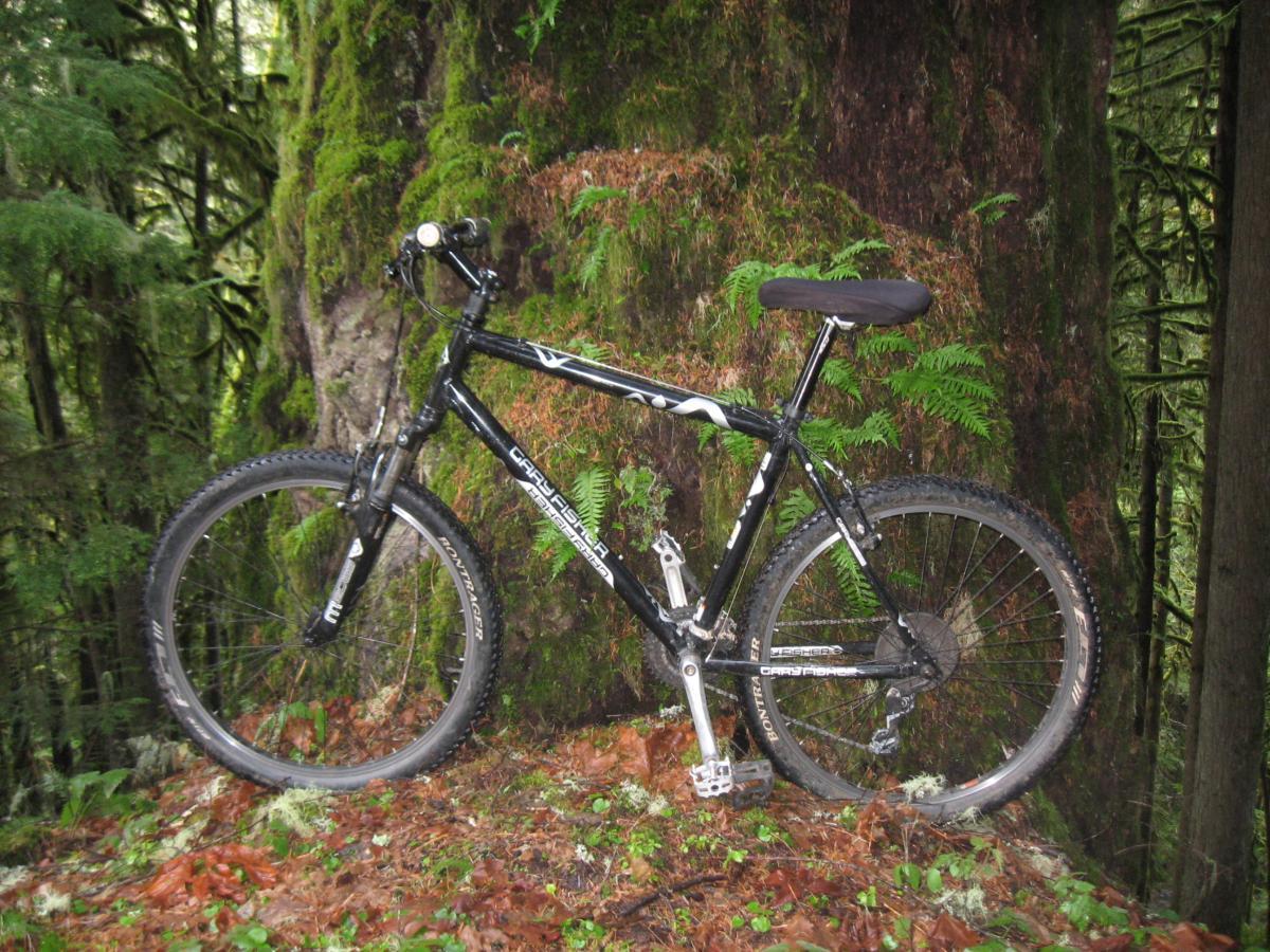 A black mountain bike leaning against a large tree covered in moss and ferns, surrounded by a forested area with fallen leaves on the ground. Eula Ridge mountain bike trail.