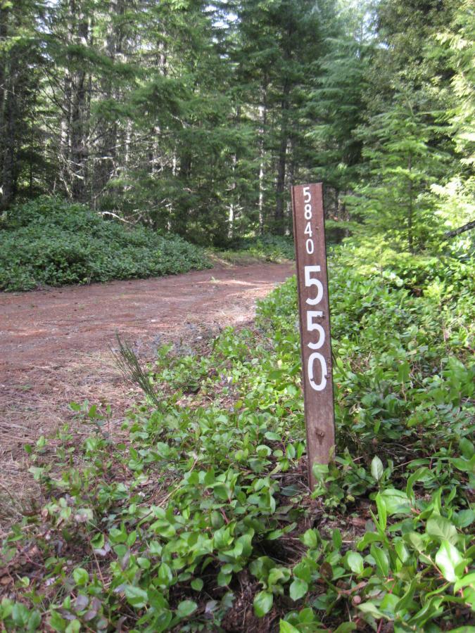 A wooden signpost marked with the numbers "5840" and "550" is situated near a dirt path in a lush forest. The surrounding area features green shrubs and small plants, with tall trees providing a serene backdrop. Eula Ridge mountain bike trail.