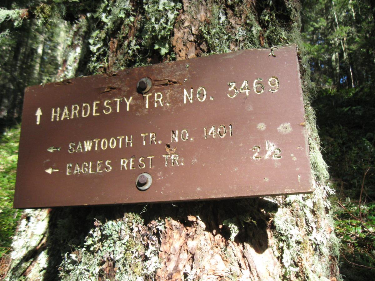A forest trail sign attached to a tree, displaying directional arrows and trail numbers: Hardesty Trail No. 3469 pointing upwards, Sawtooth Trail No. 1401 to the left, and Eagles Rest Trail to the left. The sign also indicates a distance of 2½ miles. The background features lush green foliage and moss. Eula Ridge mountain bike trail.