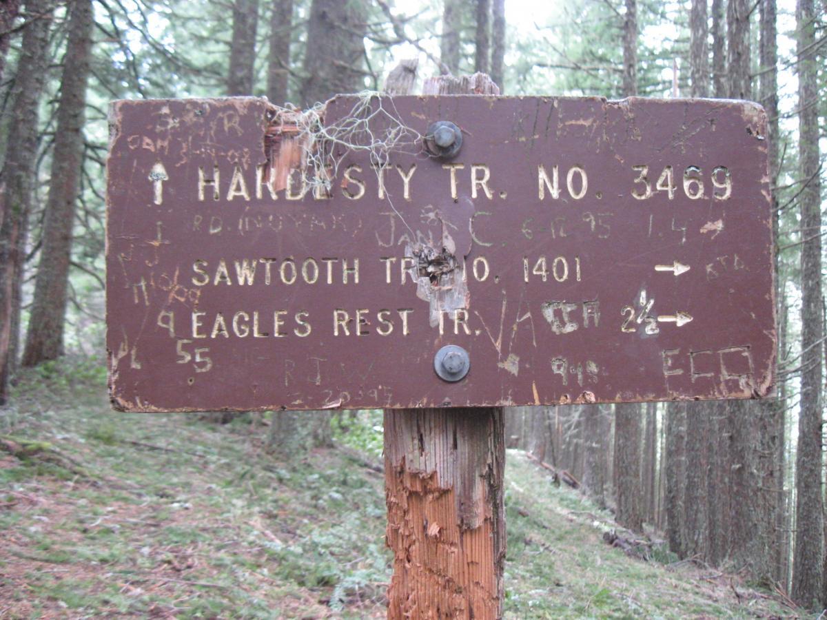 A weathered wooden trail sign in a forest, indicating directions for Hardesty Trail No. 3469, Sawtooth Trail No. 1401, and Eagles Rest Trail, with various carvings and markings on its surface. The surrounding area is densely wooded with trees and forest floor vegetation. Eula Ridge mountain bike trail.