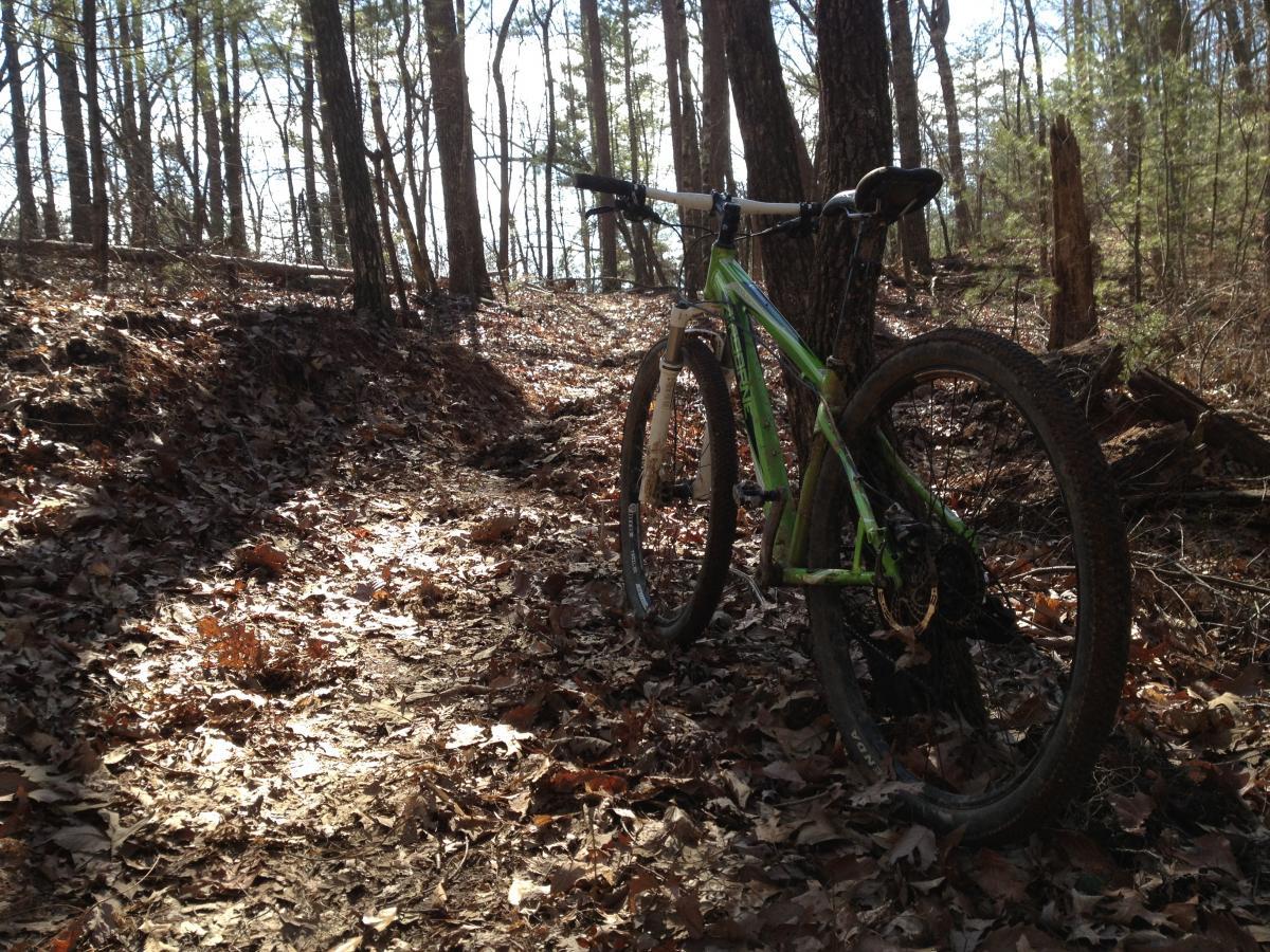 A green mountain bike leaning against a tree on a dirt trail covered in fallen leaves, surrounded by trees in a wooded area. Sunlight filters through the branches, creating a warm and inviting atmosphere. Black Branch mountain bike trail.
