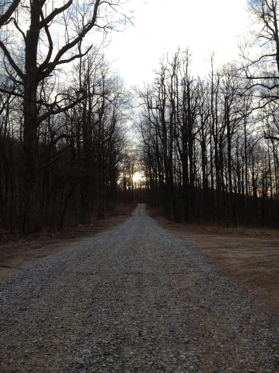A gravel path winding through a forest of bare trees, leading towards a sunset in the background. The sky is partly cloudy, adding a soft glow to the scene. Winding Stairs Loop mountain bike trail.