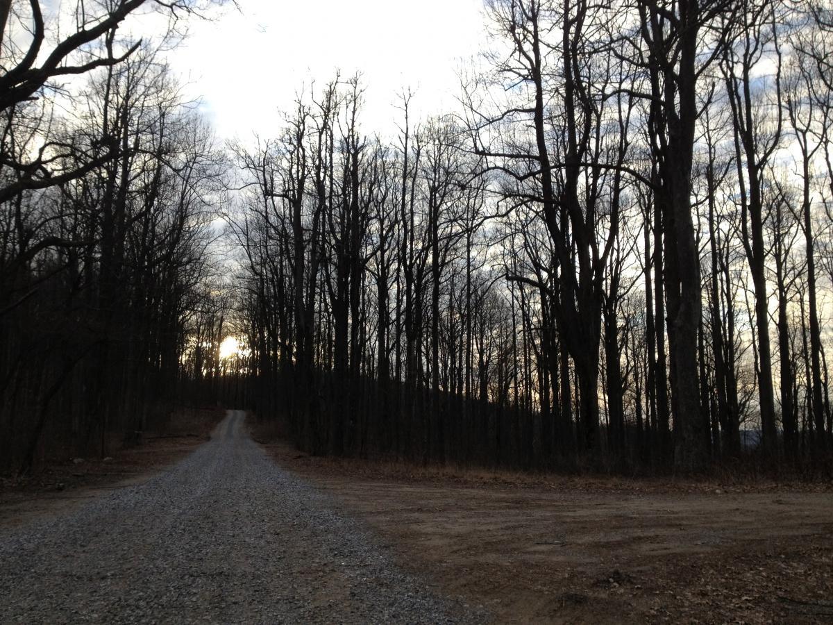 A winding gravel road leading through a sparse forest of bare trees under a cloudy sky, with the sun setting in the background. The scene conveys a tranquil, serene atmosphere. Winding Stairs Loop mountain bike trail.