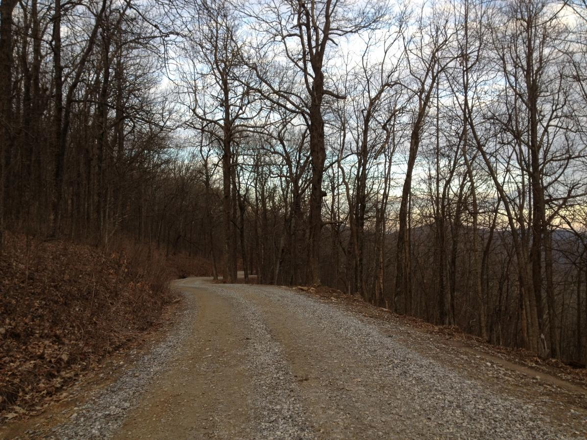 A winding gravel road lined with bare trees, leading into a forested area under a cloudy sky. The scene is peaceful, with the road curving gently and a hint of distant hills visible in the background. Winding Stairs Loop mountain bike trail.