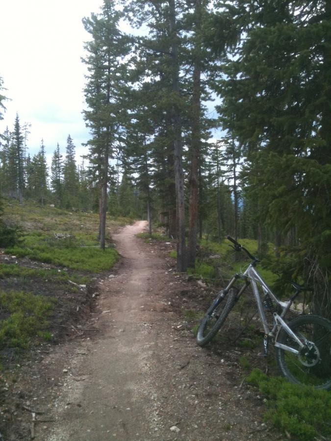 A dirt trail winding through a forested area, surrounded by tall trees and greenery. A mountain bike leans against a tree on the right side of the path. Trestle Bike Park mountain bike trail.