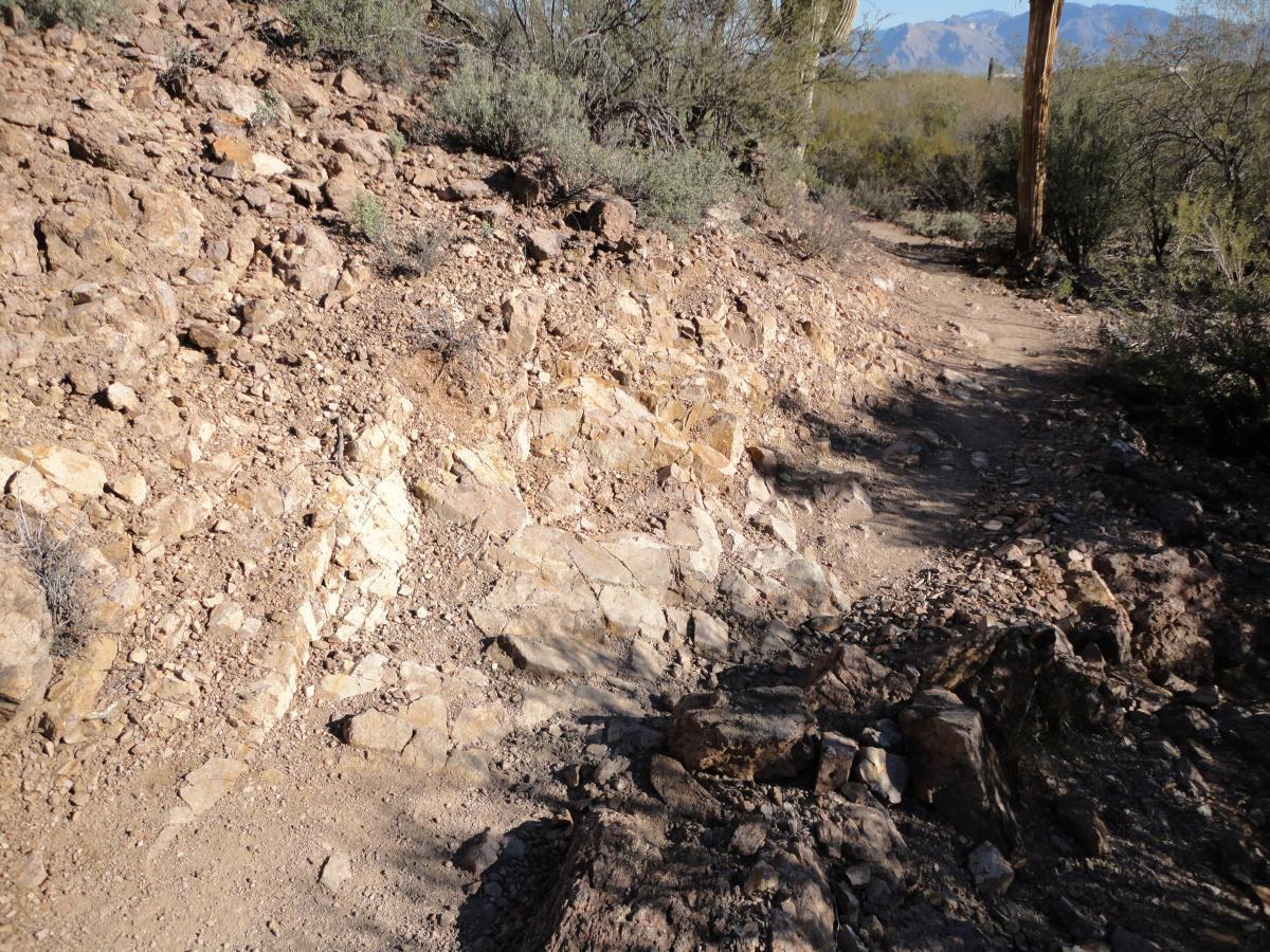A rocky trail winding through arid terrain, surrounded by small shrubs and cacti, with a clear view of distant mountains under a bright sky. Sweetwater Preserve mountain bike trail.