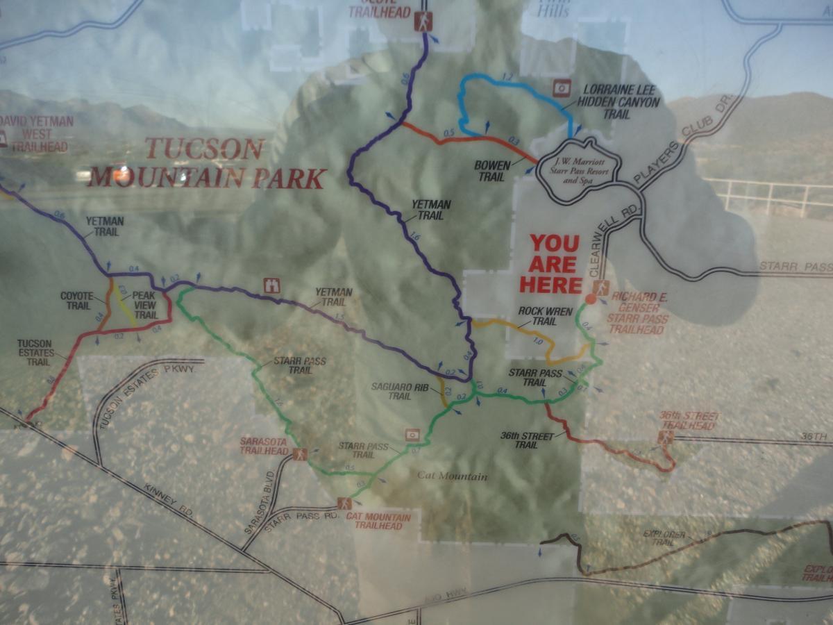 Map of Tucson Mountain Park featuring various trails including Yetman Trail, Coyote Trail, and Starr Pass Trail. The marked point indicates "YOU ARE HERE" to help visitors locate themselves within the park. Tucson Mountain Park mountain bike trail.