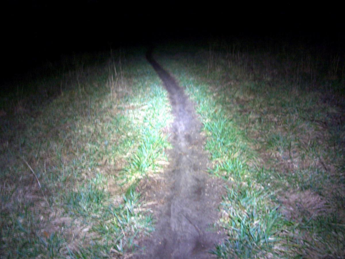 A dimly lit dirt path winding through tall grass at night, with a faint light illuminating the trail ahead. The surrounding area is mostly dark, emphasizing the path through a natural setting. Jones Creek Ridge Trail mountain bike trail.