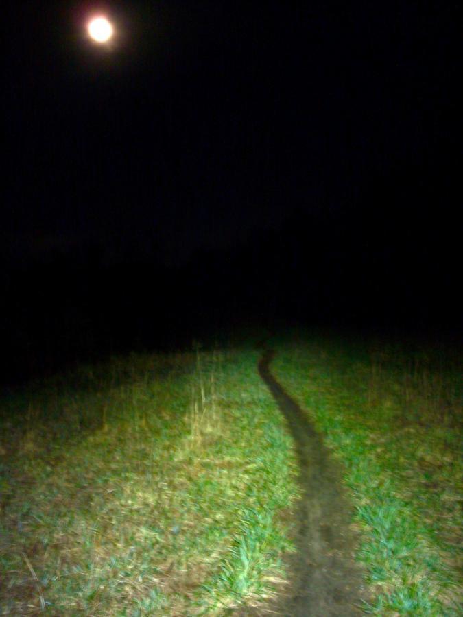 A winding dirt path illuminated by moonlight, surrounded by dark grass and a night sky. The scene conveys a peaceful yet mysterious atmosphere. Jones Creek Ridge Trail mountain bike trail.