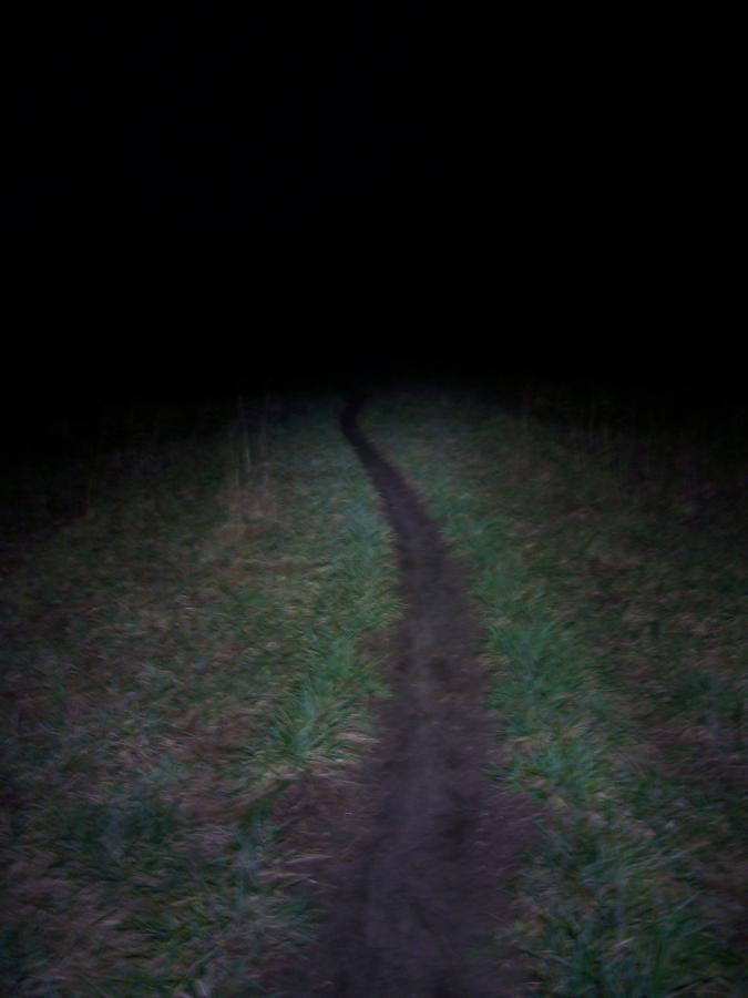 A narrow dirt path winding through a grassy area, fading into darkness, suggesting a night scene with limited visibility. Jones Creek Ridge Trail mountain bike trail.