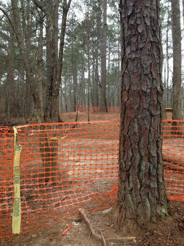 A wooded area with several trees, featuring a section marked off by bright orange safety fencing. The ground is bare and slightly muddy, with scattered twigs and logs. In the background, additional orange fencing is visible, indicating a construction or maintenance site. Taylor Randahl Memorial Mountain Bike Trails At Olde Rope Mill Park mountain bike trail.