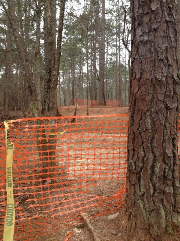 A forested area with tall pine trees, featuring orange construction fencing in the foreground and background. The ground is bare, indicating possible construction or land clearing activities. Blankets Creek mountain bike trail.