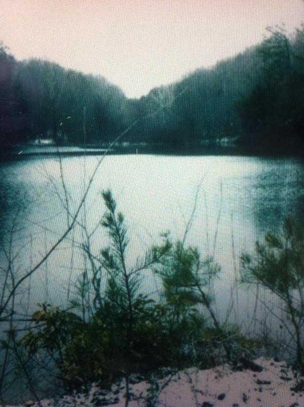 A serene view of a calm lake surrounded by trees, with a muted color palette and soft lighting, suggesting a tranquil atmosphere. The foreground features small plants at the water's edge, while the background consists of wooded hills under a cloudy sky. Sheltowee Trace - Laurel Lake Trail mountain bike trail.