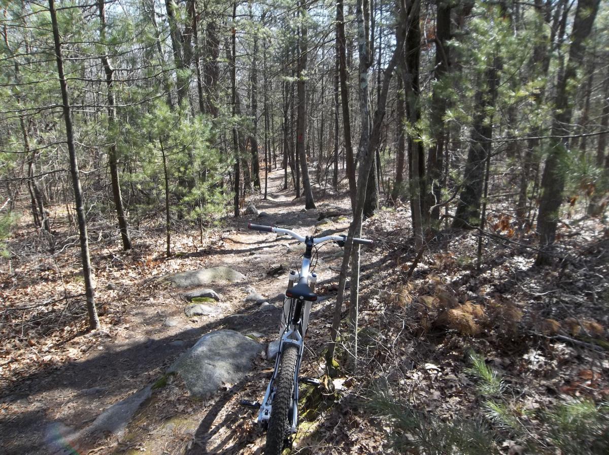 A mountain bike positioned on a dirt trail winding through a dense forest, surrounded by trees and rocky terrain. Sunlight filters through the branches, illuminating the path ahead. F. Gilbert Hills State Park mountain bike trail.
