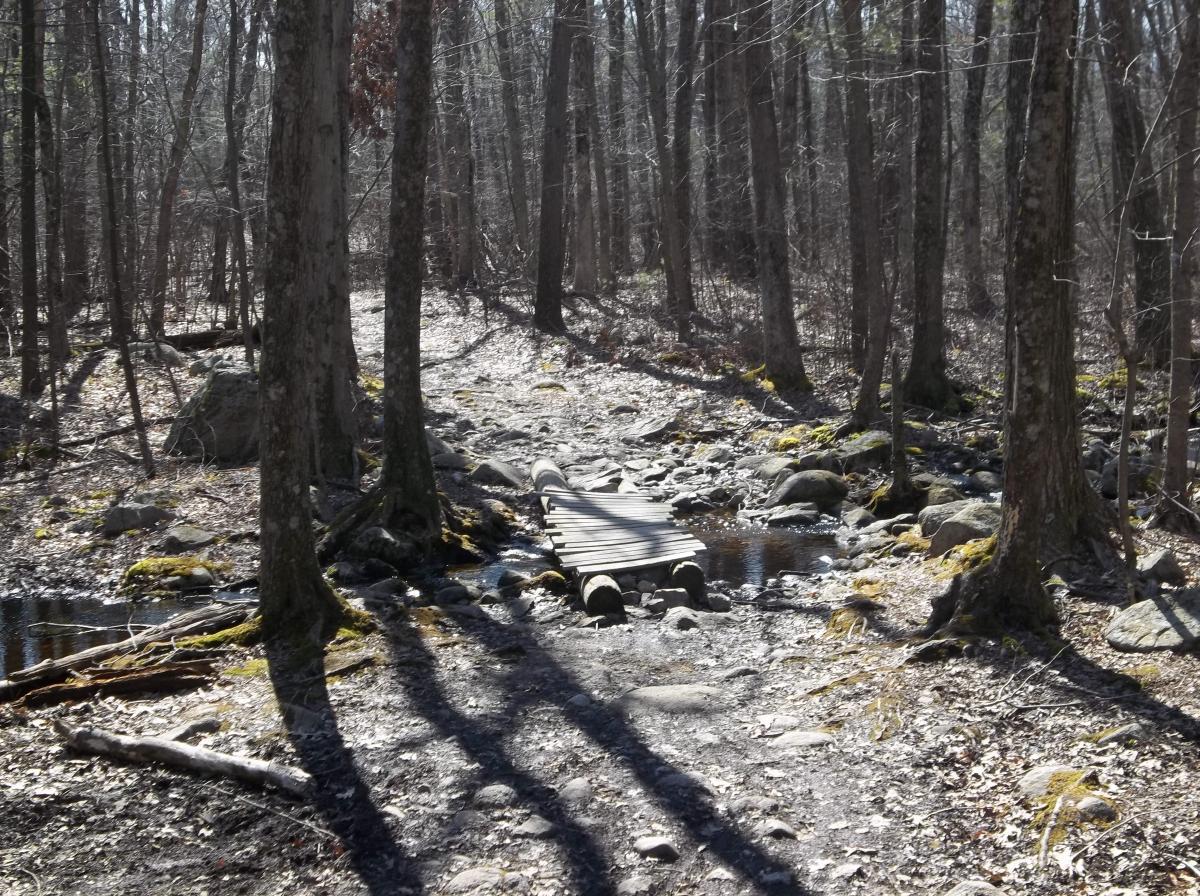 A serene forest scene featuring a wooden bridge spanning a small creek. The area is surrounded by tall trees with bare branches, indicating a late winter or early spring setting. The ground is rocky and covered with fallen leaves, and patches of moss can be seen on the stones near the water. Sunlight filters through the trees, creating a peaceful atmosphere. F. Gilbert Hills State Park mountain bike trail.