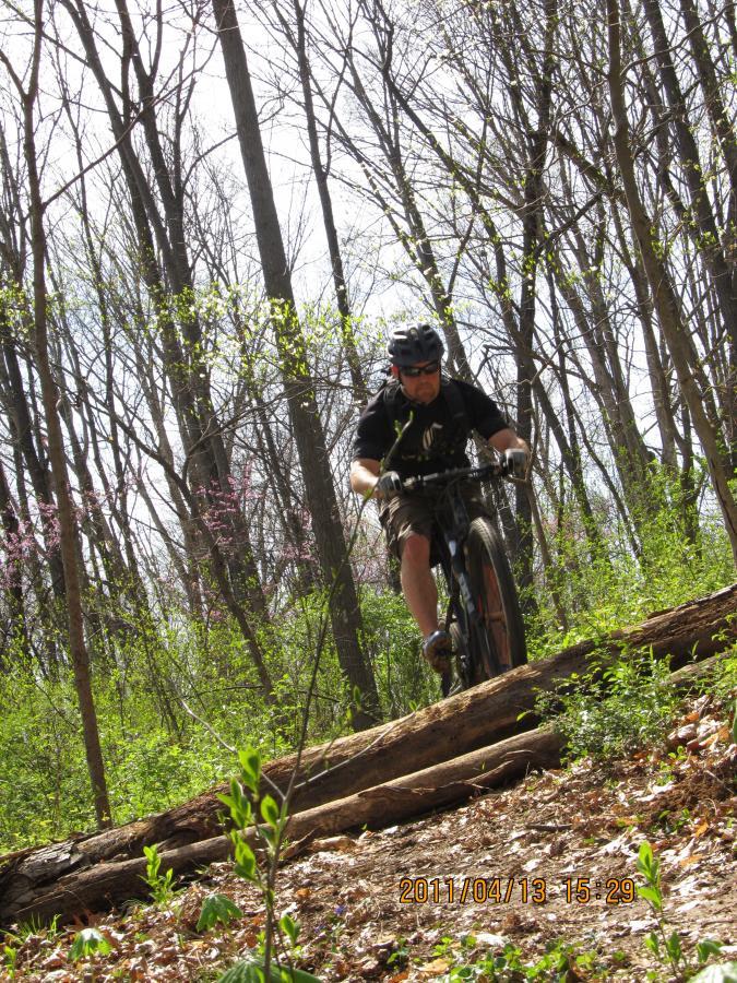 A cyclist navigating a wooded trail, riding over a fallen log amidst greenery and budding leaves. The scene captures the thrill of mountain biking in a natural setting, with trees in the background. Sugar Hollow Park mountain bike trail.