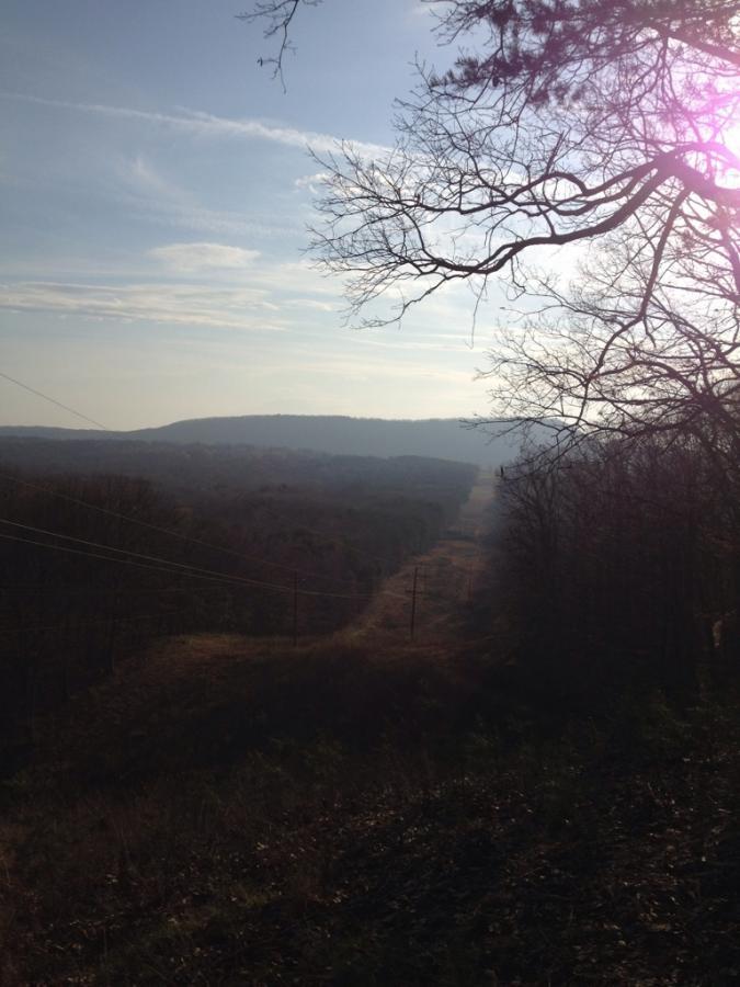 A panoramic view of a hilly landscape during the day, featuring a road or path stretching into the distance. The scene is framed by bare tree branches in the foreground, with soft sunlight illuminating the sky, creating a serene atmosphere. Power lines run along the side, adding to the rural setting. Five Points mountain bike trail.