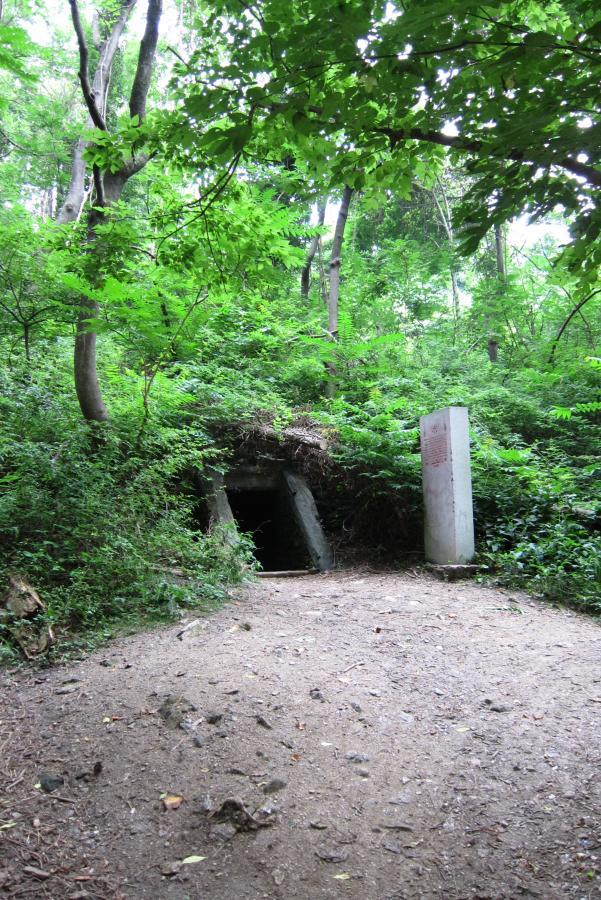 A path leading to a dark entrance of a tunnel, surrounded by dense green foliage and trees. To the right, a white stone structure features some text. The ground is rocky and covered with fallen leaves. The scene conveys a sense of mystery and natural tranquility. Wissahickon Valley Park mountain bike trail.
