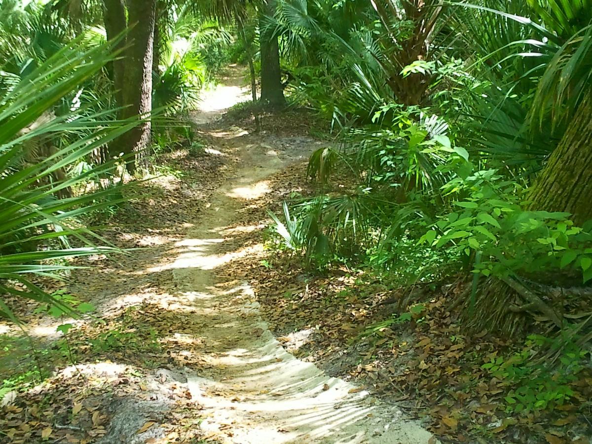 A winding dirt path surrounded by lush greenery and tropical plants, leading into a dense forest. The ground is covered with fallen leaves, and sunlight filters through the trees, creating dappled shadows along the trail. Soldier Creek Park mountain bike trail.