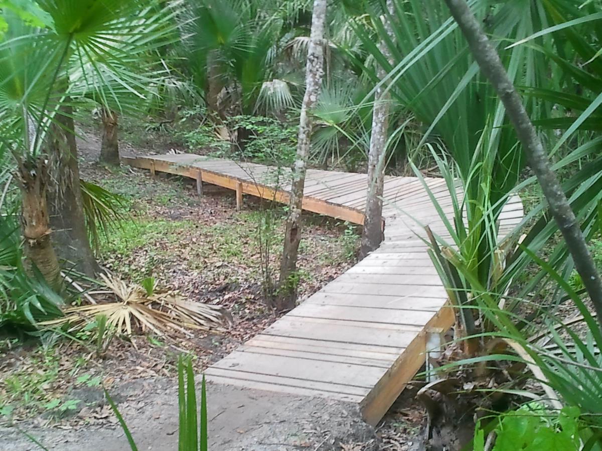 A wooden boardwalk winding through a lush, green forest filled with palm trees and other vegetation. Soldier Creek Park mountain bike trail.