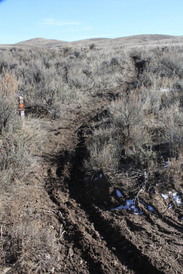 A dirt trail winding through a sparse, grassy landscape with patches of snow, flanked by low shrubs and hills in the background under a clear blue sky. Trail indicators can be seen on the left side. Discovery Hill Trails mountain bike trail.