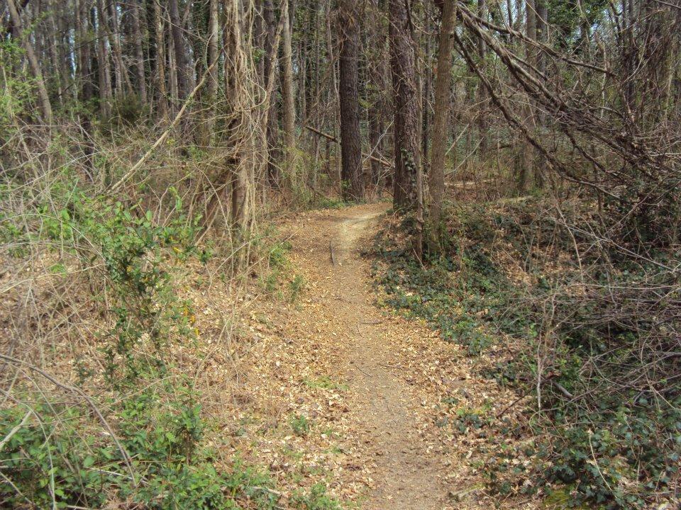 A dirt path winding through a wooded area, bordered by tall trees and underbrush. The ground is covered with fallen leaves, and the path curves to the right, suggesting a quiet, natural setting. Lake Maury mountain bike trail.