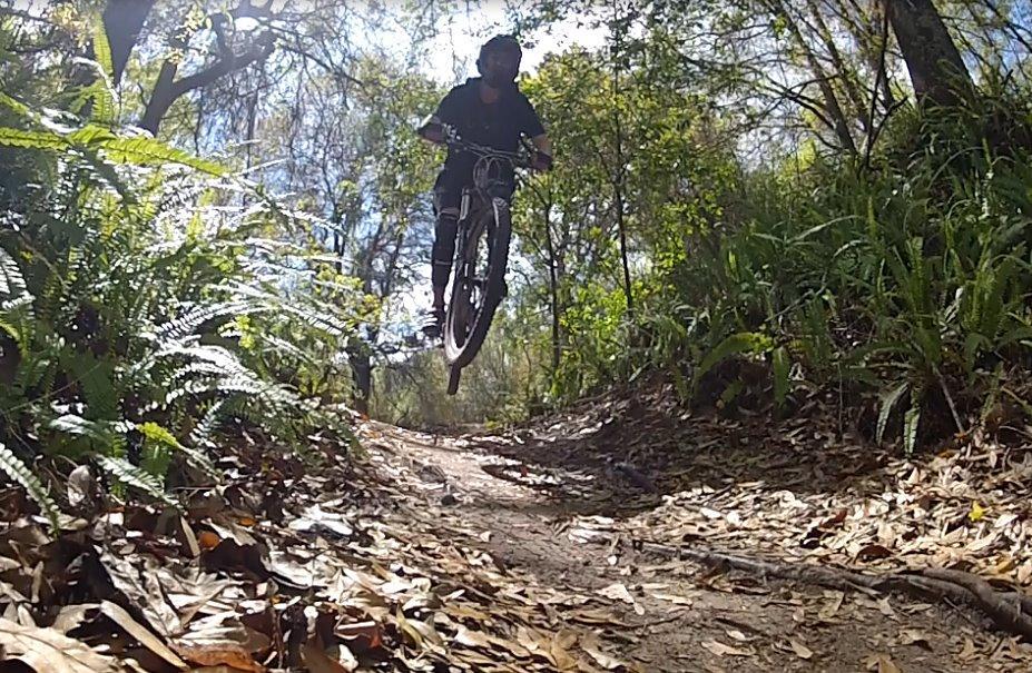 A mountain biker performing a jump on a dirt trail surrounded by greenery, with sunlight filtering through the trees. The ground is covered in leaves, creating a natural outdoor setting. Balm Boyette Scrub Preserve mountain bike trail.