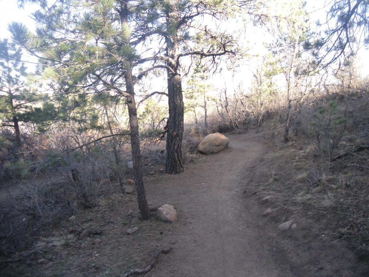 A dirt hiking path winding through a forest with pine trees, surrounded by sparse vegetation and rocks. The path is framed by dense underbrush and sunlit areas, indicating a natural outdoor setting. Stratton Open Space / The Chutes mountain bike trail.