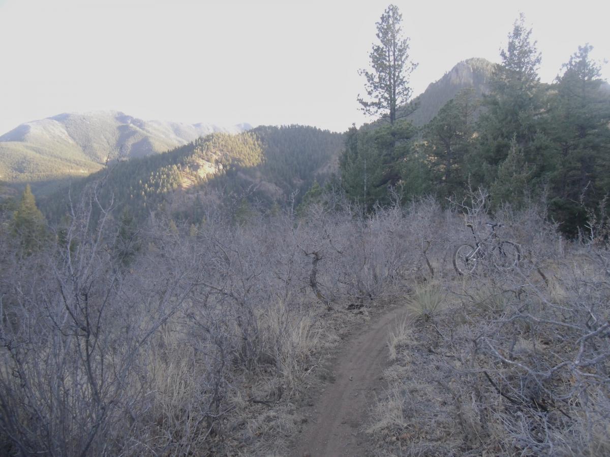 A mountain biking trail surrounded by dry bushes and pine trees, leading into a mountainous landscape with rolling hills in the background. A bicycle is partially visible off to the right. The scene is illuminated by soft, natural light, showcasing the rugged terrain. Spring Creek mountain bike trail.