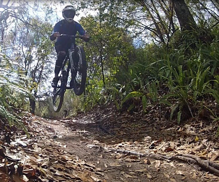 A mountain biker in protective gear is mid-air while jumping over a dirt trail surrounded by greenery and fallen leaves. The cyclist is wearing a blue shirt and a helmet, showcasing an action-packed moment in a natural outdoor setting. Balm Boyette Scrub Preserve mountain bike trail.