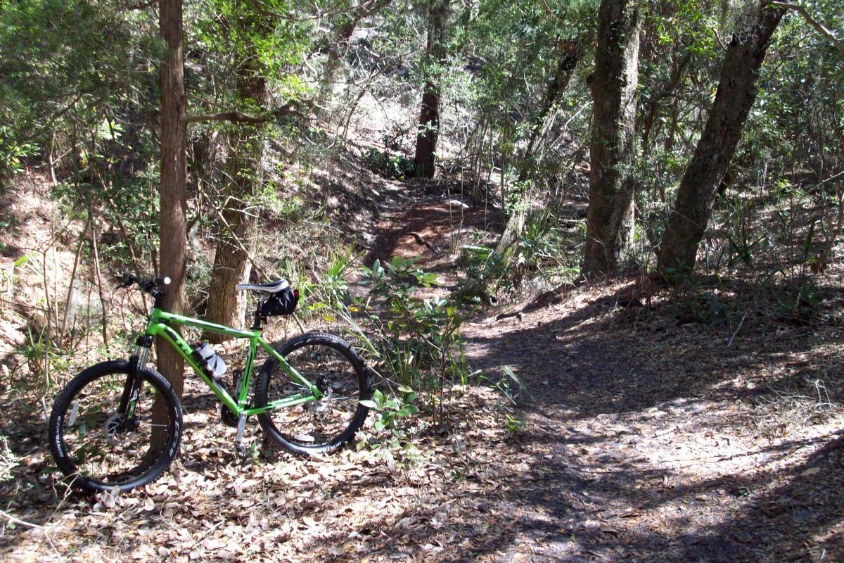 A green mountain bike parked on a dirt trail surrounded by dense trees and foliage in a wooded area. The path is partially visible, winding through the forest with leaves scattered on the ground. Ft. Clinch State Park mountain bike trail.
