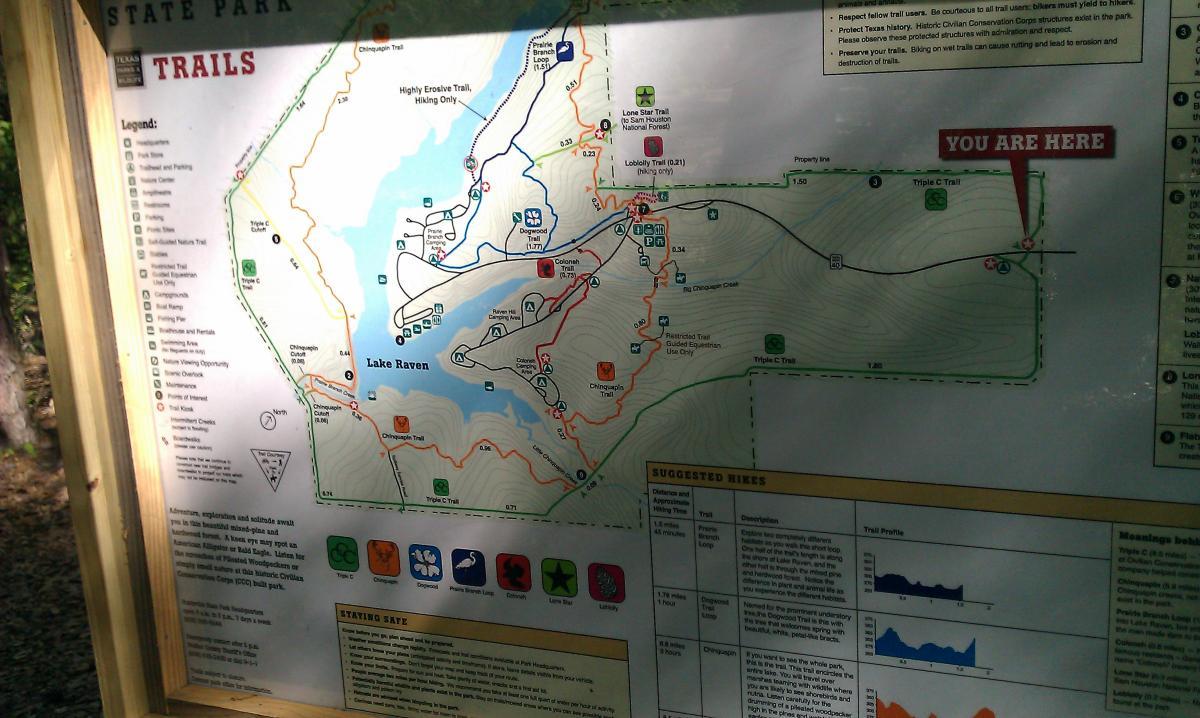 A trail map of a Texas state park, displaying various hiking trails around Lake Raven. Important information includes trail lengths, a legend for different trail types, and safety guidelines. The map indicates the viewer's location with a marked "You Are Here" spot. Huntsville State Park mountain bike trail.