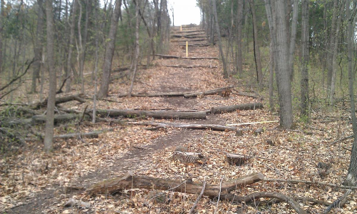 A forest trail leading uphill, marked by flat wooden logs as steps. The path is covered with fallen leaves and surrounded by trees, with a yellow marker visible in the distance. Minnesota Valley National Wildlife Refuge mountain bike trail.