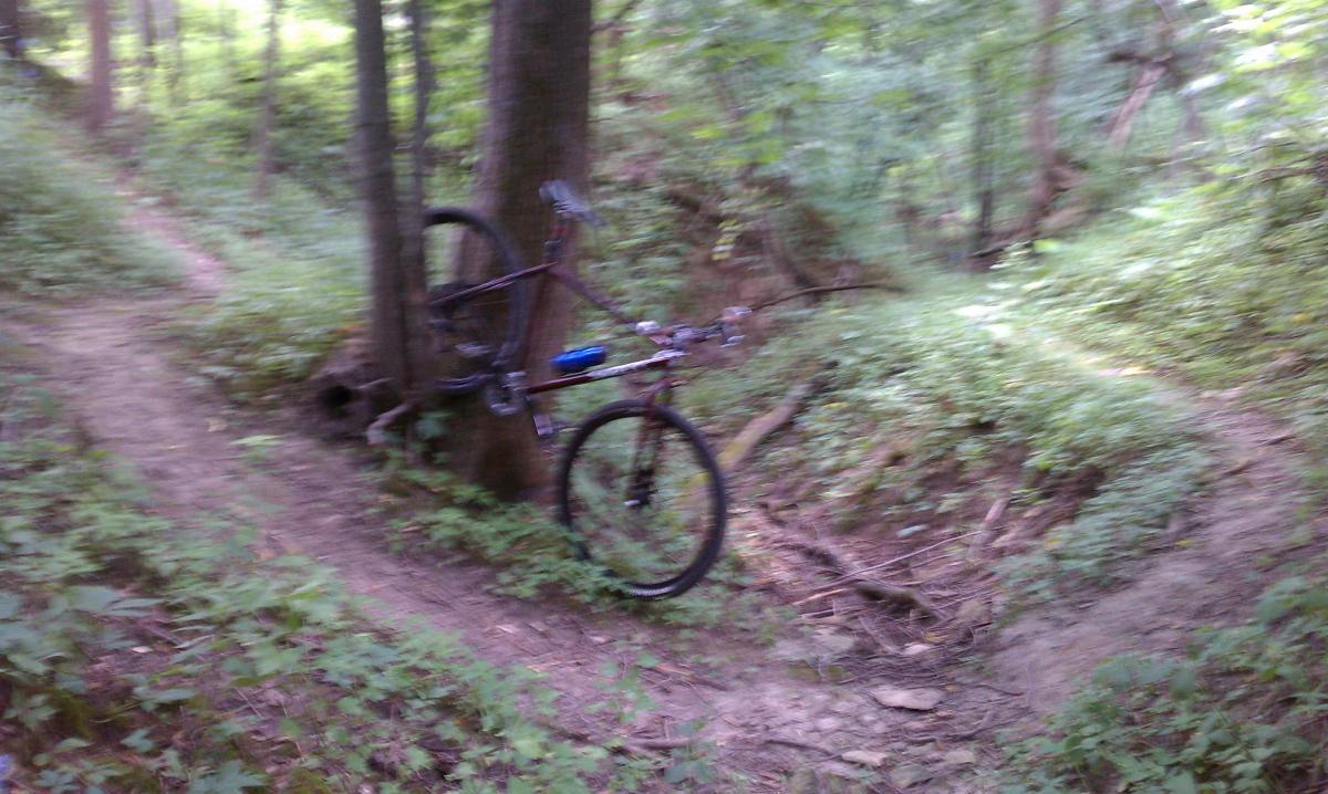 A mountain bike leaning against a tree on a dirt trail surrounded by dense greenery in a forested area. The bike has a blue water bottle attached to it and the trail splits into two directions. Decorah Mtb Trail System mountain bike trail.