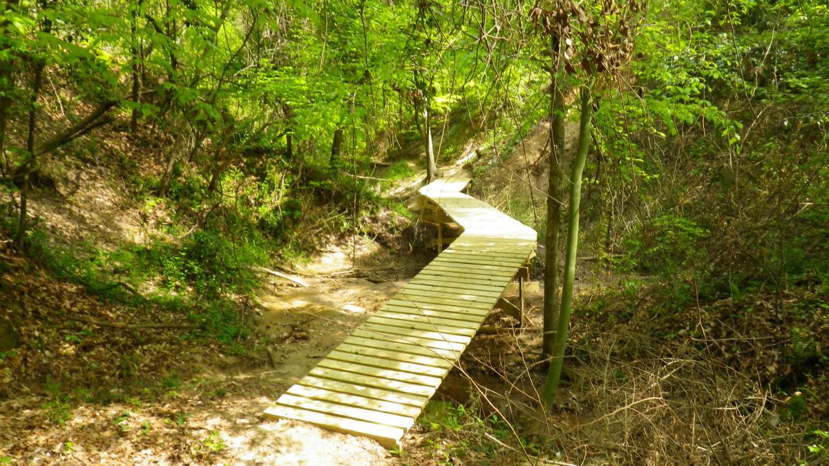 A wooden, winding footbridge spans a narrow path through a lush, green forest. Sunlight filters through the trees, illuminating the surrounding foliage and creating a serene atmosphere. The Beast mountain bike trail.