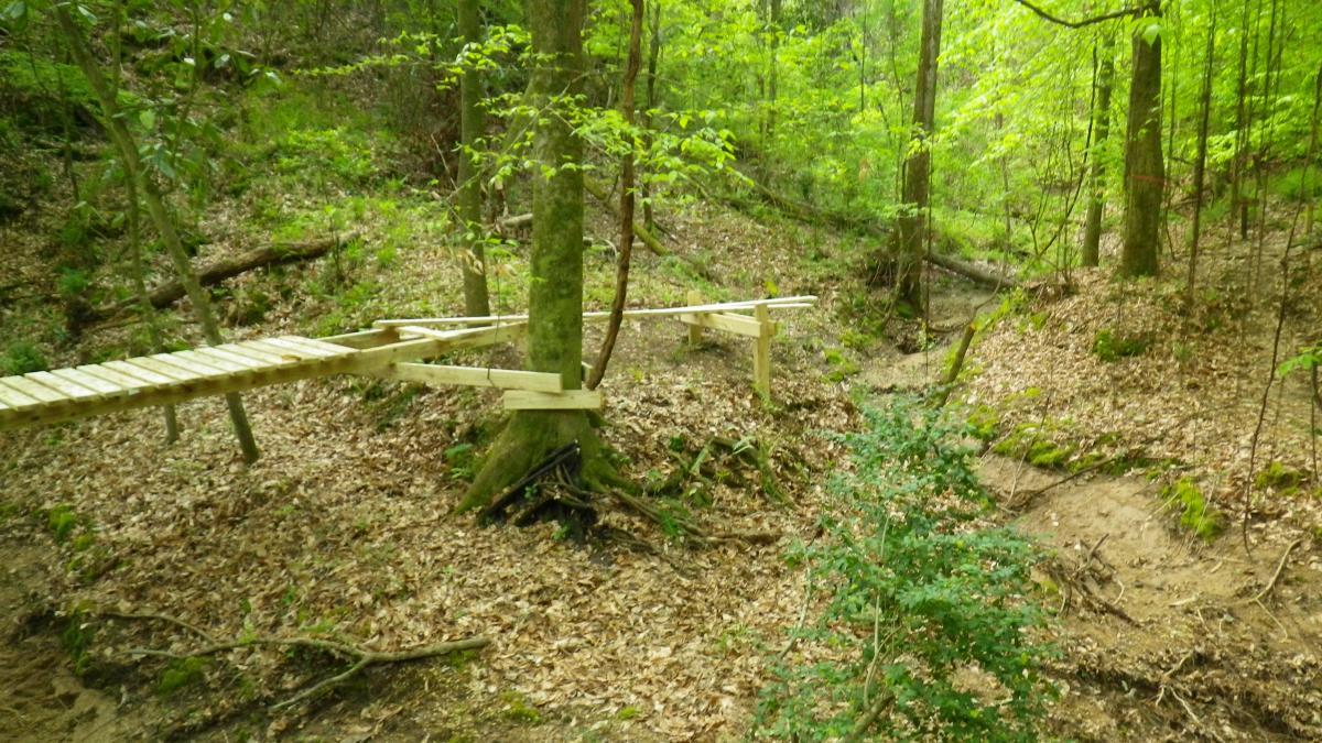 A wooden footbridge spanning a small ravine in a lush, green forest. The scene features scattered leaves on the ground and trees surrounding the area, creating a serene natural atmosphere. The Beast mountain bike trail.