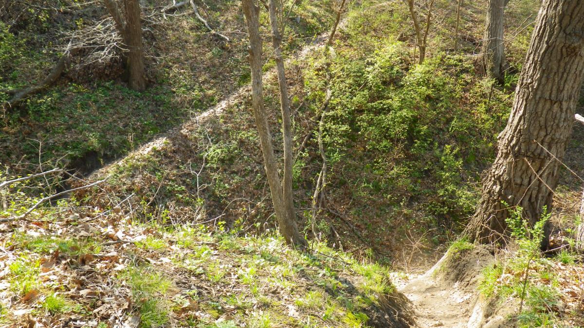 A scenic view of a wooded landscape featuring a steep, leaf-covered slope leading down into a small ravine. The area is surrounded by trees, with green foliage emerging from the ground, indicating early spring. Sunlight filters through the branches, illuminating the natural beauty of the scene. Platte River mountain bike trail.