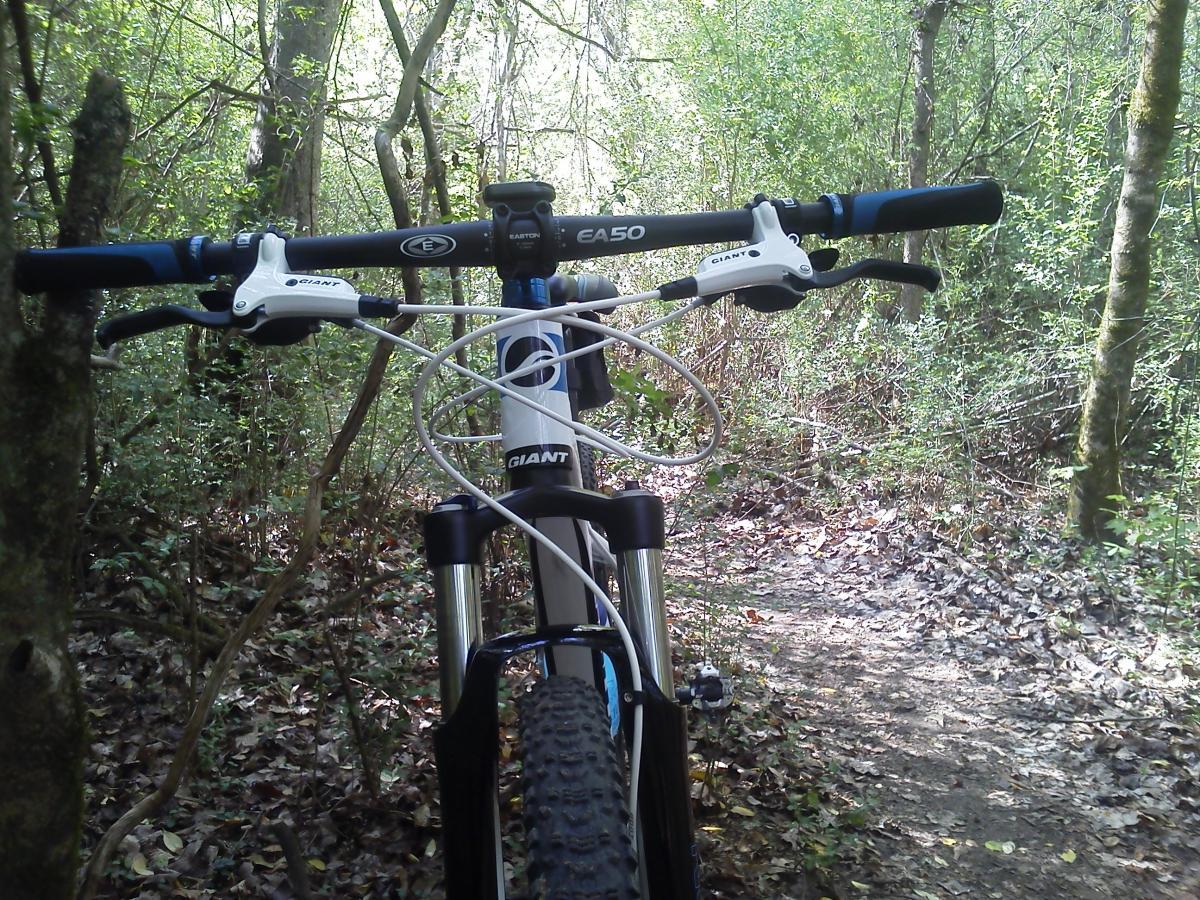 A view of a mountain bike from the perspective of the handlebars, set in a lush, green forest. The scene includes a dirt path surrounded by trees and underbrush, with sunlight filtering through the leaves. The bike features a white frame and black tires, with visible gear shift and brake levers. Children's Home / Pig Trail mountain bike trail.