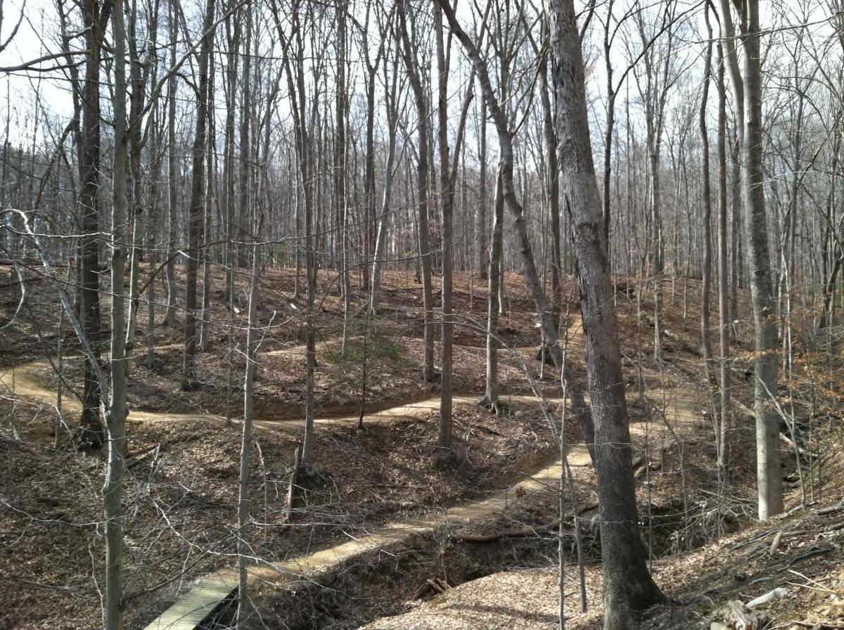 A winding trail through a wooded area, featuring bare trees and a forest floor covered in dry leaves. The scene captures the tranquility of a late autumn or early spring day, with paths of light brown earth weaving through the landscape. Fountainhead Regional Park mountain bike trail.