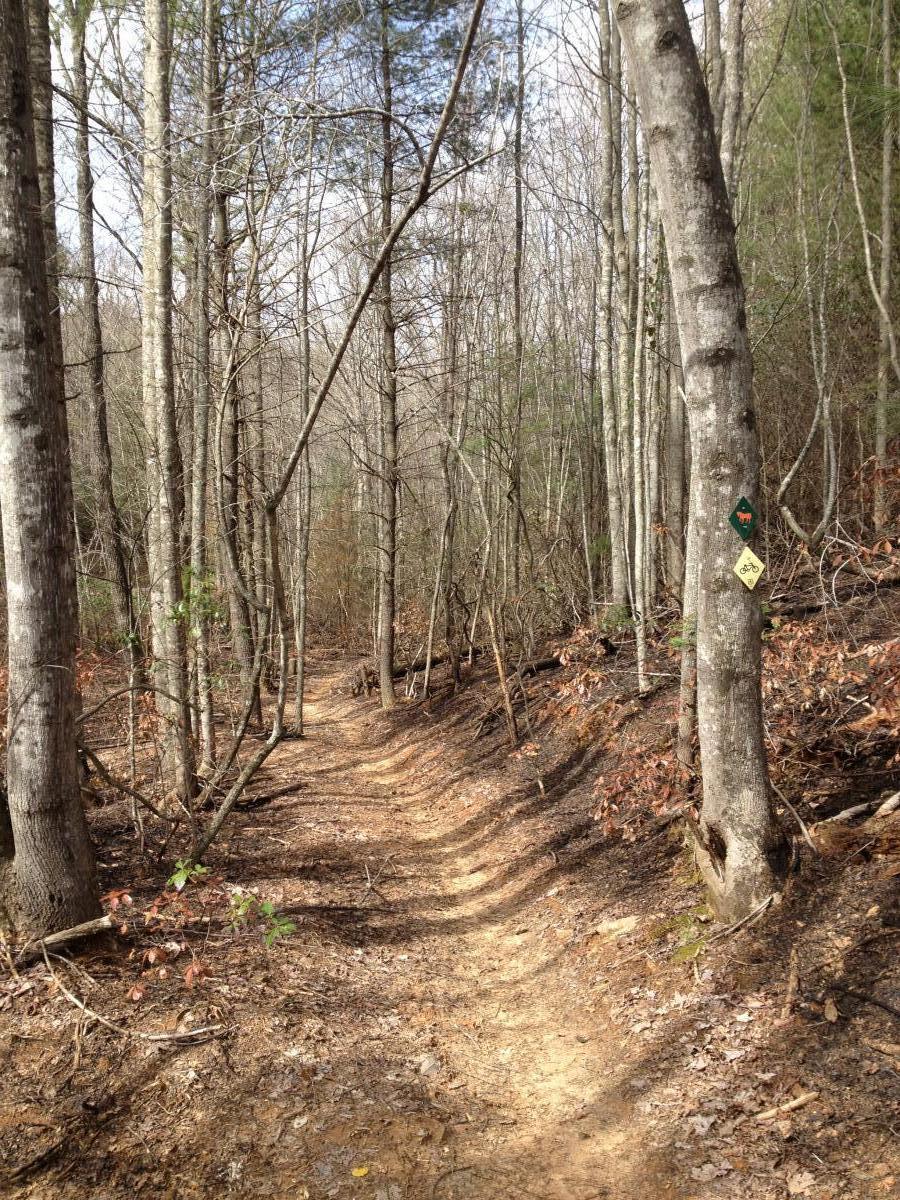 A winding dirt trail surrounded by bare trees in a wooded area, with sunlight filtering through the branches. Trail markers can be seen attached to the trees, indicating hiking and biking paths. The ground is covered with fallen leaves and twigs, suggesting an autumn or early spring setting. Jake to Bull Mountain Connecter mountain bike trail.