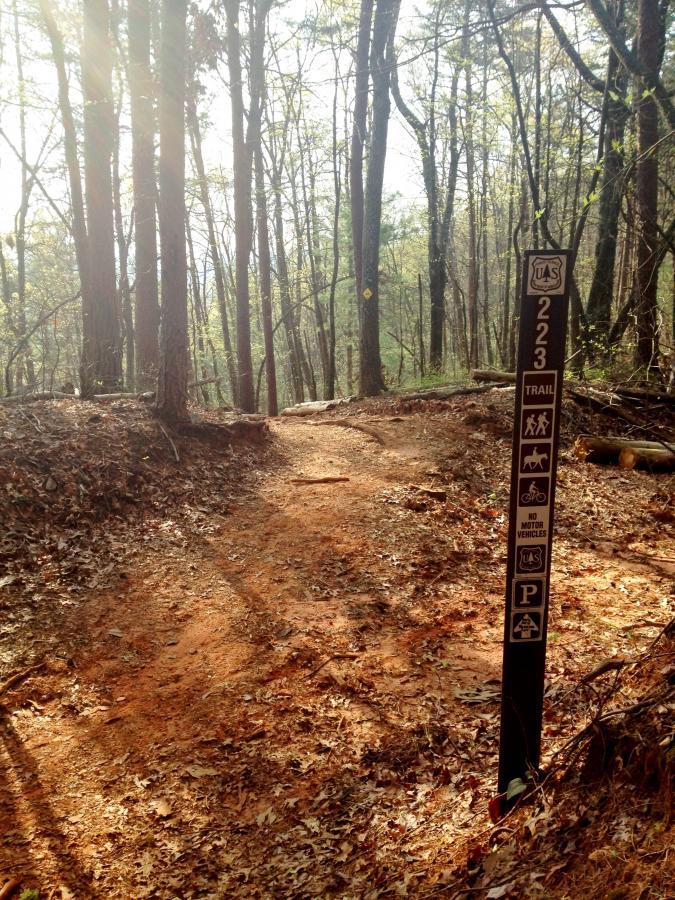 A narrow dirt trail winding through a forest, surrounded by tall trees with sunlight filtering through the leaves. A trail marker stands to the side, indicating Trail 223, with icons for hiking, horseback riding, and biking, and noting that no motor vehicles are allowed. The ground is covered with fallen leaves, and the path is slightly sandy and uneven. Bull / Jake Mountain mountain bike trail.