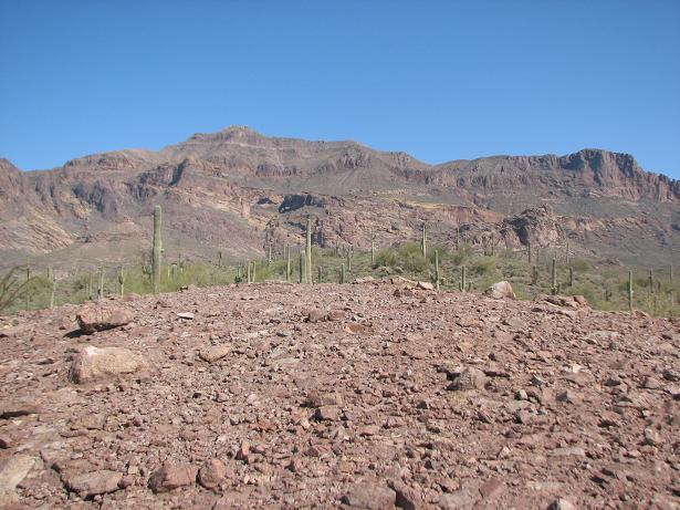 A rocky desert landscape with sparse vegetation, featuring tall cacti in the foreground and rugged mountains in the background under a clear blue sky. Cloudview mountain bike trail.
