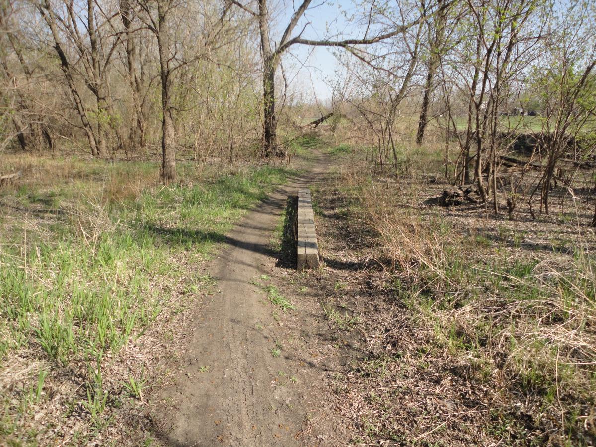 A dirt path winding through a grassy area surrounded by sparse trees and shrubs. A wooden bridge crosses a small section of the trail, leading deeper into the natural landscape. The scene is bright and appears to be set in early spring, with new green growth visible among the brown foliage. Sycamore Trail mountain bike trail.